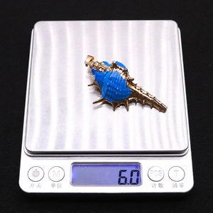 Vista macro de colgante de caracola azul con borde dorado en báscula de 6,0g