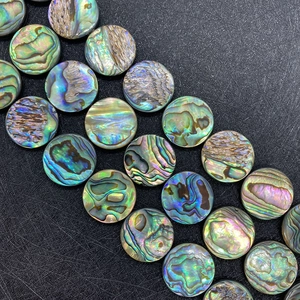Perles de Coquille d'Ormeau Irisées Naturelles en Forme de Disque Poli Pièces de Coquille Rondes Plates Pour Bricolage