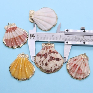 Détail de pendentifs coquilles avec bordure dorée et règle montrant la taille 3,5 cm