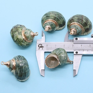 Detailweergave van natuurlijke groene turboschelpen met vergulding gemeten met schuifmaat