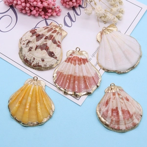 Cinq pendentifs en coquillage naturel avec bordure dorée et boucle sur fond bleu clair