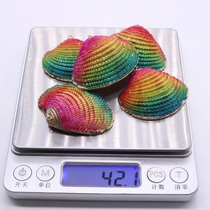 Detailed view of five colorful natural scallop shell pendants being weighed on a digital scale