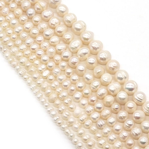 Natural freshwater white pearls in various sizes arranged on a clean white background