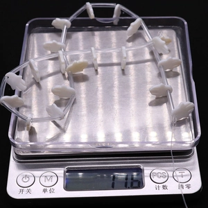 Detailed view of hand-shaped white shell beads on a digital scale weighing 11.6 grams