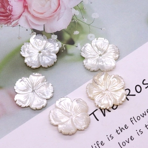Dettaglio di fiori in madreperla bianca a cinque petali con lustro per gioielli DIY