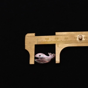 Makroaufnahme eines 22mm schillernden Muschel-Wals mit Messschieber aus Messing