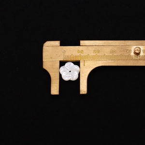Makroaufnahme einer 10mm Perlmuttblüte, gemessen mit einem goldenen Messschieber