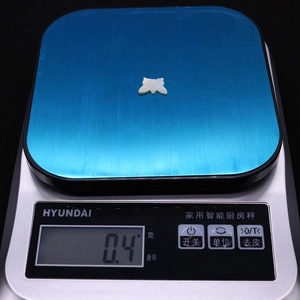 Makroaufnahme einer 12x16mm Perlmutt-Schmetterlingsperle auf einer Waage mit 0,4g Gewicht