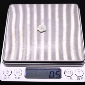 Nahaufnahme einer weißen Muschelblume Perle, die auf einer digitalen Präzisionswaage liegt