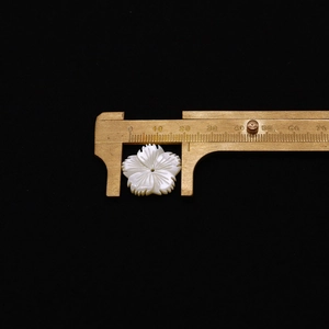 Detail eines 18mm blumenförmigen weißen Muschelanhängers mit Mittelloch für die Schmuckherstellung