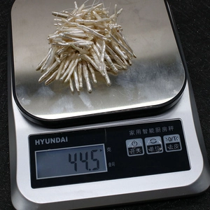 Macro-opname van natuurlijke witte barokparels met een gewicht van 44,5 gram op een weegschaal