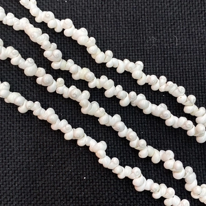 Makroaufnahme von natürlichen weißen Spiralschnecken für DIY Schmuckherstellung