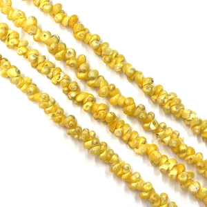 Natürliche gelbe Meeresschnecken-Muschelperlen für DIY-Schmuck und Halsketten