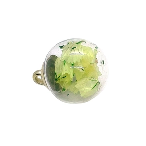 Transparent glass globe pendant with green dried flower petals and metal loop ring