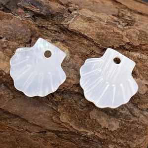 Macro detail of two 12mm natural freshwater shell scallop pendants with pearl luster on bark