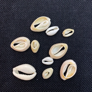 Close-up of natural seashell beads in various sizes for DIY jewelry making accessories