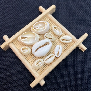 Natural cowrie shells for DIY jewelry making on bamboo tray with polished finish