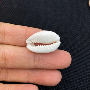 Polished natural white cowrie shell bead held in hand for DIY necklace jewelry making