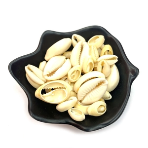 Natural white cowrie shells in a black dish for handmade jewelry and DIY projects