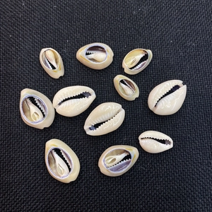 Natural Shell Conch Shaped Polished Loose Beads Primary Color Sliced Shell Beads For DIY Jewelry Making Necklace Bracelet