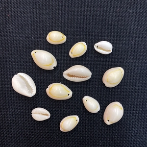 Macro detail of natural cowrie shells with yellow ring patterns and pre-drilled DIY holes