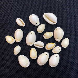 Natural Shell Conch Cowrie Beads Polished Single Hole Loose Beads For DIY Necklace Earrings Bracelet Jewelry Accessories