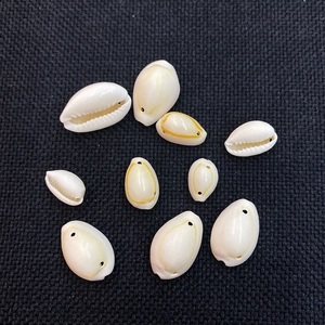 Macro shot of natural cowrie shells with pre-drilled holes for DIY jewelry making