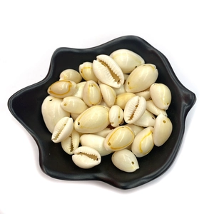 Natural polished cowrie shell beads with single hole for DIY jewelry making