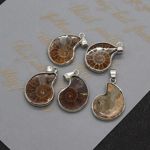 Macro view of five natural ammonite fossil pendants with silver-plated metallic edges