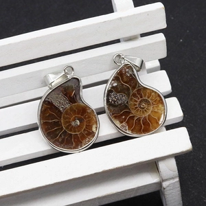 Macro shot of two snail fossil pendants with silver metal edging on a white bench