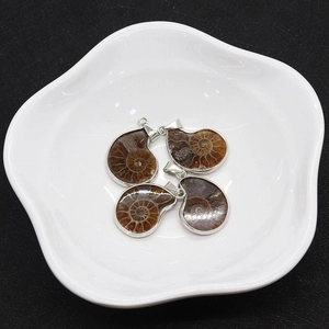 Macro view of four spiral ammonite fossil pendants in silver frames on a white tray