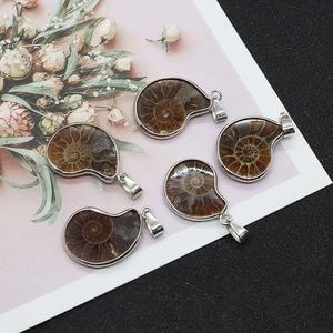 Macro detail of five natural ammonite fossil pendants with polished silver metal edges