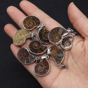 Macro shot of assorted natural ammonite fossil pendants with silver metal bails on palm