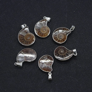 Set of 6 snail-shaped natural ammonite fossil pendants with silver-colored metal edging