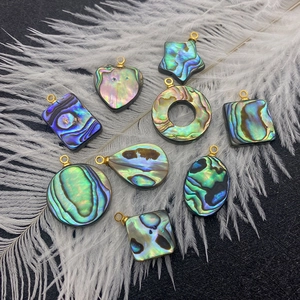 Divers pendentifs en nacre d'abalone naturelle de formes variées avec anneaux dorés