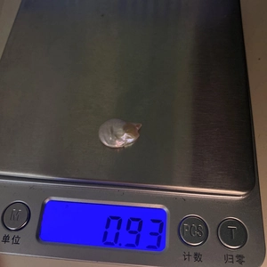 Perla barroca de agua dulce con forma de gato y brillo iridiscente, pesa 0,93g en báscula