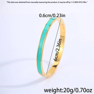 Detail van de 0,6cm breedte en mintgroene emaille op de titanium stalen bangle armband