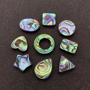 Natural abalone shell beads set with multi-shape charms for DIY jewelry making