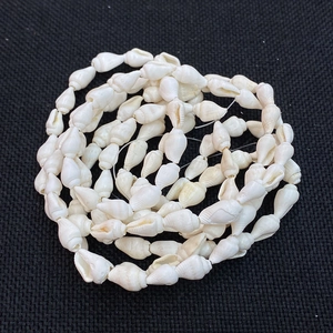 Fili di perle di conchiglia naturale bianca per la creazione di gioielli fai da te