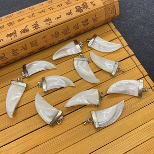 Natural sea shell tooth shaped pendants with silver bails on a bamboo background