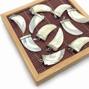 Polished natural seashell ivory horn pendants with silver metal caps on wooden tray
