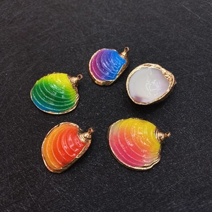 Cinq pendentifs coquillages naturels dégradés avec bordure dorée pour création de bijoux