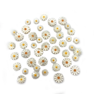 Perle di conchiglia naturale a forma di margherita per accessori di gioielli fai da te