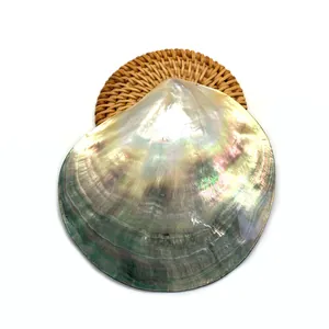 Close-up of natural black lip shell pendant with iridescent luster on woven rattan mat
