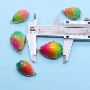 Detailweergave van regenboog schelphangers met goudlaagje en maatmeting