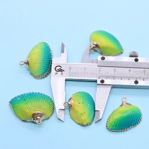 Vue macro de pendentifs en coquilles naturelles avec bordures dorées et pied à coulisse