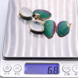 Vue macro de pendentifs coquillage dégradé vert métallique sur une balance de bijoux