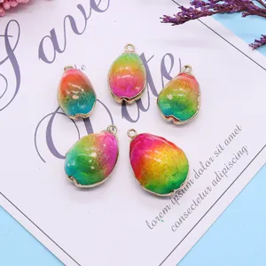 Regenboog schelpbedels met gouden randen voor doe-het-zelf sieraden maken set