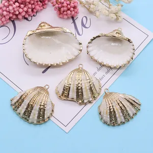 Natural scallop shell pendants with gold-plated edges and hanging loops set of five