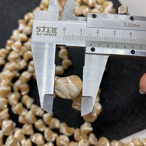 Misurazione dettagliata di una grande perla di conchiglia naturale con spessore 12,5 mm